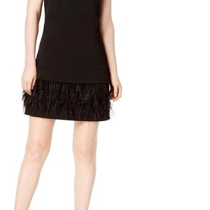 Calvin Klein Women's Feather Trim Sleeveless A-Line Dress